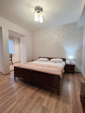 Central Classic Flat Close to Old Town